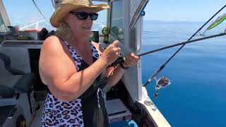 Heidi High Sticks and Breaks My Favourite Rod At The Great Barrier Reef At Port Douglas [upl. by Dyal]