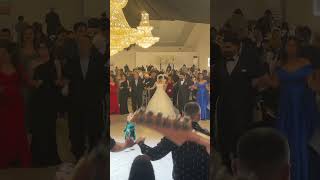 Dersim Wedding grupyeman halaylar saz bağlama [upl. by Siugram480]