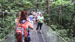 Long Suspension Bridge at Arenal Observatory Lodge [upl. by Norrie191]