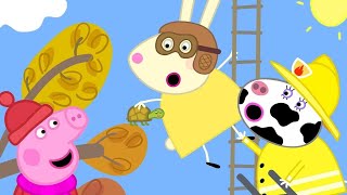 Peppa Pig Full Episodes Naughty Tortoise 🐢 Finding Tiddles the Tortoise with Peppa Pig [upl. by Neelyahs]