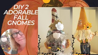 DIY Fall No Sew Gnomes [upl. by Mendelson]