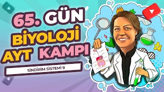 AYT KAMPI  11 SINIF  65 GÜN  SİNDİRİM SİSTEMİ 9  BESİNLERİN EMİLİMİ [upl. by Ultan]