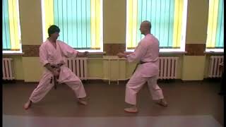 Heian Godan kata bunkai 1 [upl. by Norred]