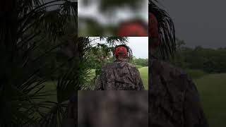 Broadhead Test Hunting Wild Boars [upl. by Shalna57]