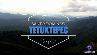 Historia de Santo Domingo Tepuxtepec [upl. by Anitap410]