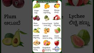 Kannada Fruit Names With English Meaning  fruitnames spokenenglishinkannada viral shorts [upl. by Gaddi279]