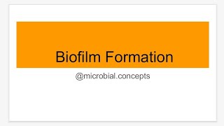 Biofilm BIOFILM FORMATION  Microbiology [upl. by Toomin]