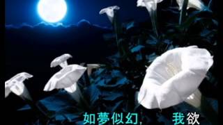 夜鶯小夜曲 quotSerenataquot Toselli André Rieu 李昌源作詞唱 音符 colorful movements [upl. by Adnohsar]