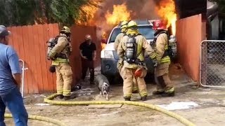 Man runs into burning home to save his dog I ABC7 [upl. by Lledal556]