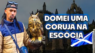 Domei uma coruja na Escócia 🦉 [upl. by Mansfield832]