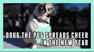 Doug the Pug Spreads Cheer To Perfect Strangers [upl. by Cos]