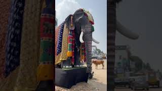 quotYaanai Varuthu  The Majestic Giant Elephant Encounterquot YaanaiVaruthu GIANTELEPHANT trending [upl. by Michell]