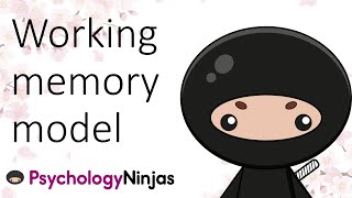 Working Memory Model [upl. by Esya]