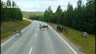 Arctic Circle  From Rovaniemi to Karasjok [upl. by Yesoj]