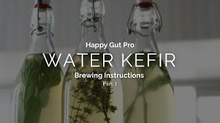 Water kefir brewing instructions  Part 1 [upl. by Anirahs]