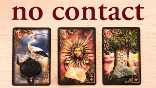 NO CONTACT REGRETS FEELINGS THE FUTURE PICK A CARD TIMELESS TAROT READING [upl. by Cilo498]