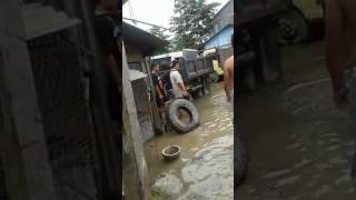 Penangkapan Buaya Setelah Banjir Bikin Heboh [upl. by Larrad]