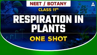 RESPIRATION IN PLANTS CLASS 11 ONE SHOT  NEET 2024  NCERT LEVEL UP  BOTANY BY SANKALP BHARAT [upl. by Dranyam]