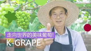 韓國葡萄的新標準！KGRAPE ✨🍇👍 [upl. by Inoliel]