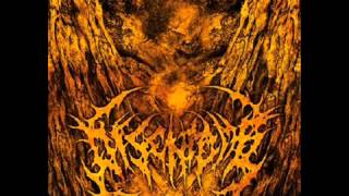 DISENTOMB Gutted [upl. by Chiquia]