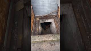 OIL TANK ABATEMENT  Louie The Boiler Man The YouTube Plumber [upl. by Aseretairam243]