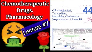 Chemotherapeutic drugs pharmacology lecture7 chapter 44 chloramphenicol tetracycline MACROLIDES [upl. by Riffle889]