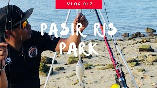 Pasir Ris Park SG  Family Fishing VLOG 017 by Padeepsea [upl. by Sheffy]