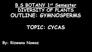 Gymnosperms Cycas by Rizwana Nawaz [upl. by Gustav]