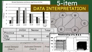 5item Data Interpretation [upl. by Ajak766]