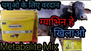 पशु के लिए वरदानMetabolite Mix Powder [upl. by Gyatt]