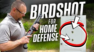 Is Using Birdshot For Home Defense Effective Shotgun For Home Defense [upl. by Adriane]