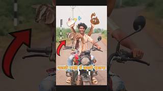 Chalti gadi me bakri palan comedy funnycomedy shortsvideo [upl. by Itsim482]