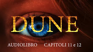 DUNE Capitoli 11 e 12  Audiolibro in italiano [upl. by Zacherie136]