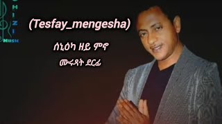 New Eritrean music Tesfa mengesha ተስፋይ መንገሻ [upl. by Richers]