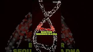 Mutation Explained in 60 Seconds mutation biology [upl. by Eitsirhc]