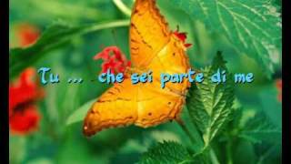 Tu che sei parte di me  Pacifico feat Nannini lyrics [upl. by Eidnarb]