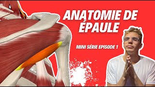 Anatomie de lÉpaule  Tout Ce Que Vous Devez Savoir  💪🦴 [upl. by Sparkie]