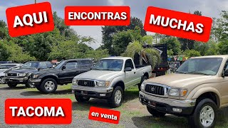 tacoma muchas en venta Toyota precios tianguis Guadalajara [upl. by Nuahsed]