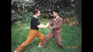 Grandmaster Walter Toch lesson 3 pressure points and selfdefence [upl. by Bland]