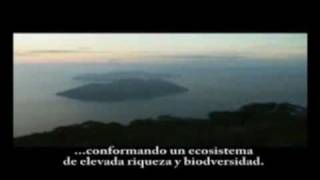 Documental Premios Fundación Biodiversidad [upl. by Ettezyl]