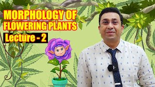 Morphology of Flowering Plants l lecture 2 l Biology l NEET [upl. by Aniez]