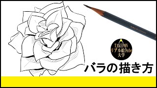 【バラの描き方】リアルなイラストが誰でも簡単に上手くなる方法ー中学校の美術で使えるスケッチの書き方のコツ [upl. by Euk]