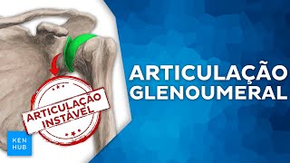 Articulação glenoumeral esses 2 conceitos são fundamentais anatomia [upl. by Yordan]