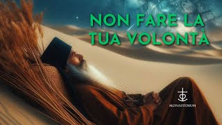 Non fare la propria volontà [upl. by Analah487]