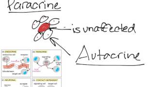 Cell to Cell Communication [upl. by Dhiren]