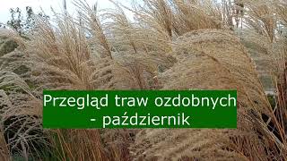 Przegląd traw ozdobnych  październik [upl. by Kati549]