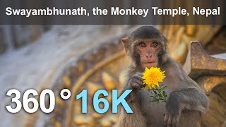 Swayambhunath the Monkey Temple Kathmandu Nepal 16K 360 video [upl. by Sidon]