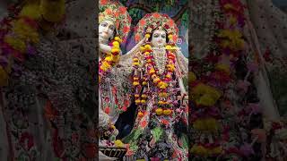 O palan hare sobeautiful shortvideo radhakrishna bihari virelshorts trending reels radhe [upl. by Prisilla]