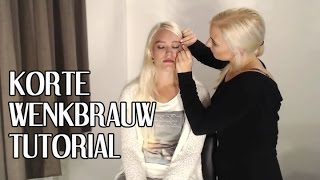 Wenkbrauw verven amp epileren tutorial [upl. by Paryavi]