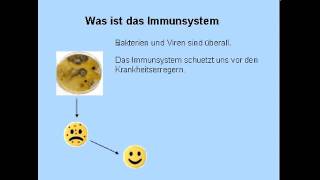 DAS IMMUNSYSTEM  GRUNDLAGEN  Biologie  Biologie des Menschen Mittelstufe [upl. by Alicul948]